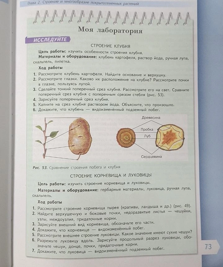 Ну, что?   🔥Представляем вашему внимаю самую запрашиваемую функцию в боте - РЕШЕНИЕ С ОБЪЯСНЕНИЕМ.  