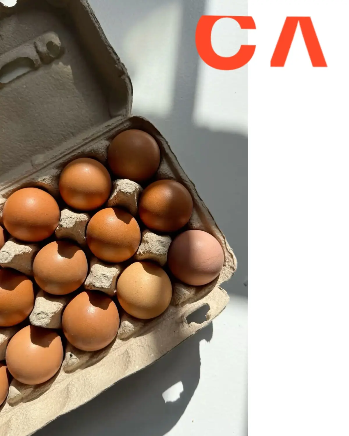 ЯИЧНЫЙ ПОСТ🍳✌