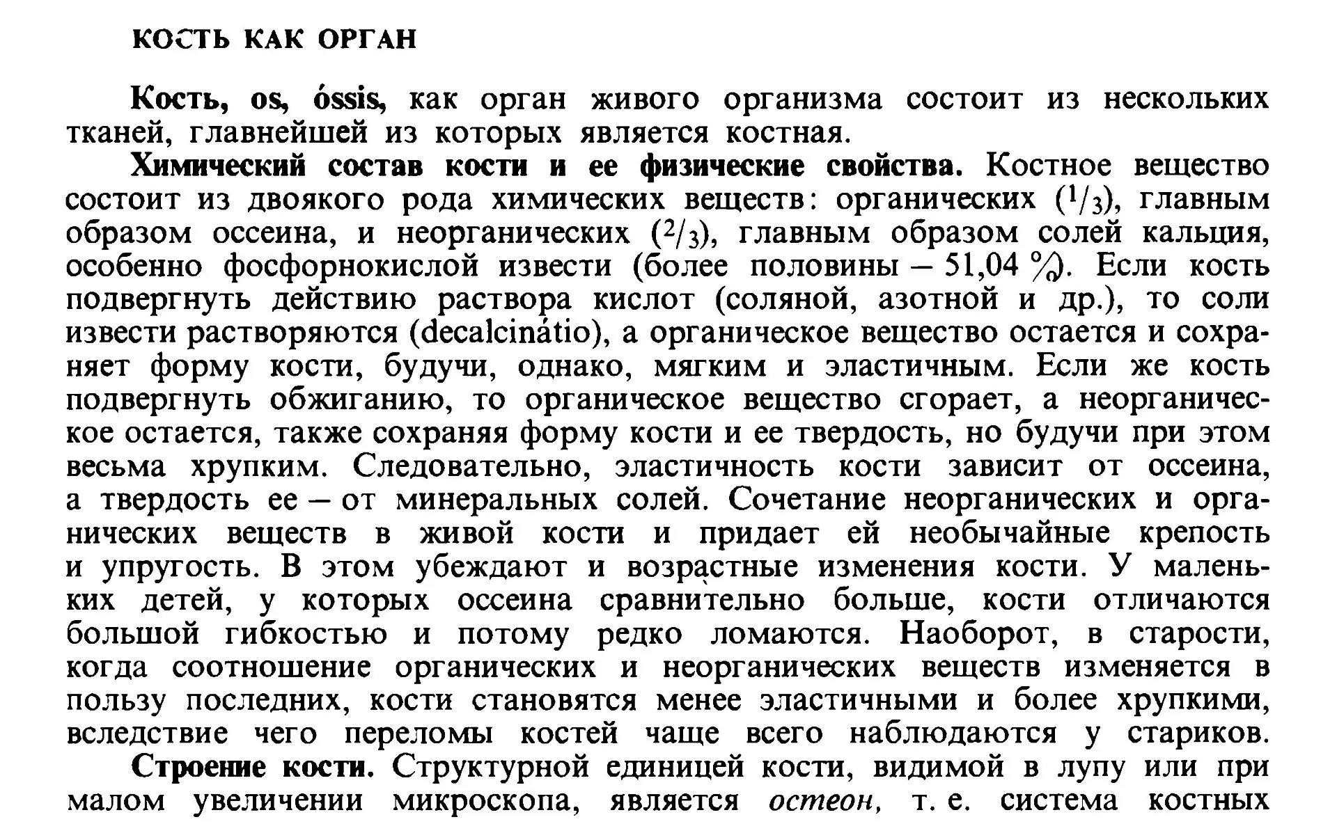 Кости: строение и развитие