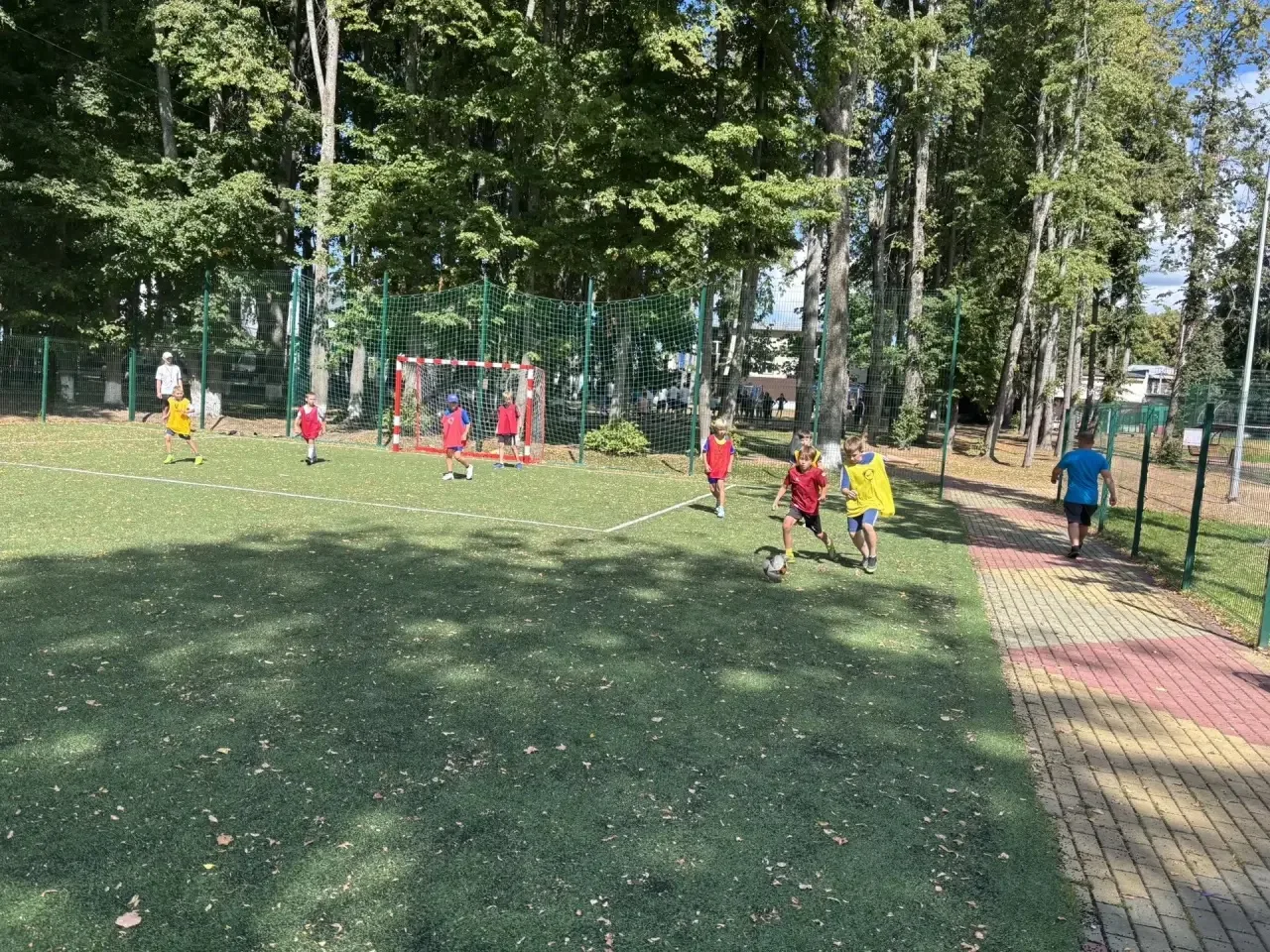 С Днём физкультурника, друзья!