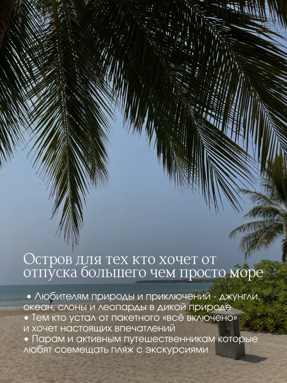 Завтрак на краю света. 🌊✨