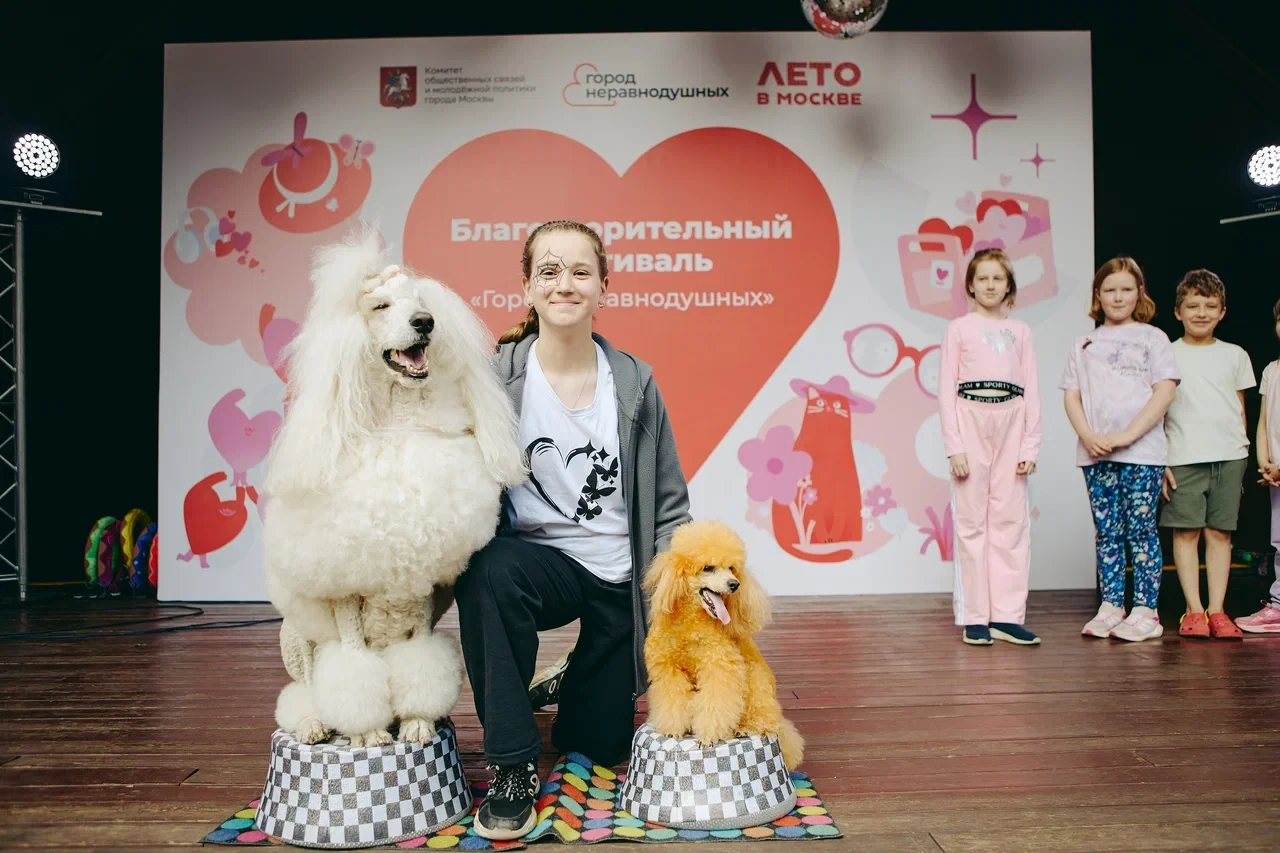 🎀 Присоединяйся к благотворительному фестивалю «Город неравнодушных»