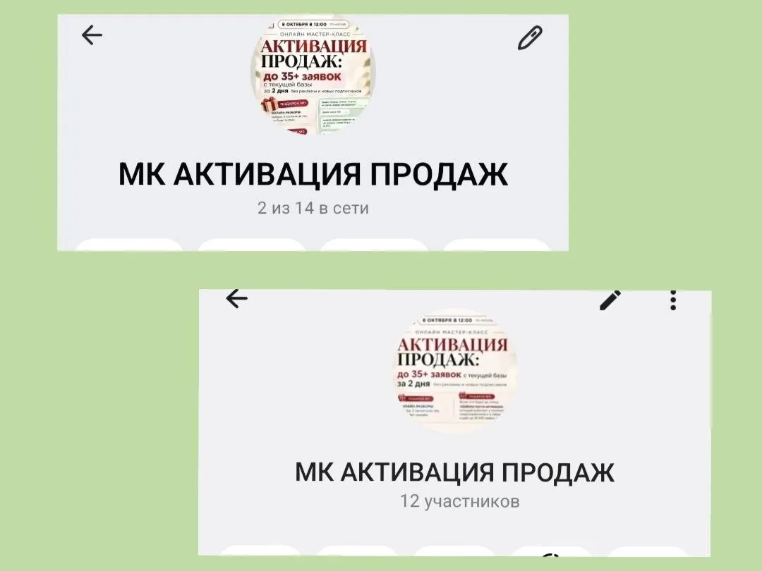 24 эксперта из разных ниш уже в чатах Телеграм и МАХ МК «Активация продаж» и ждут старт...