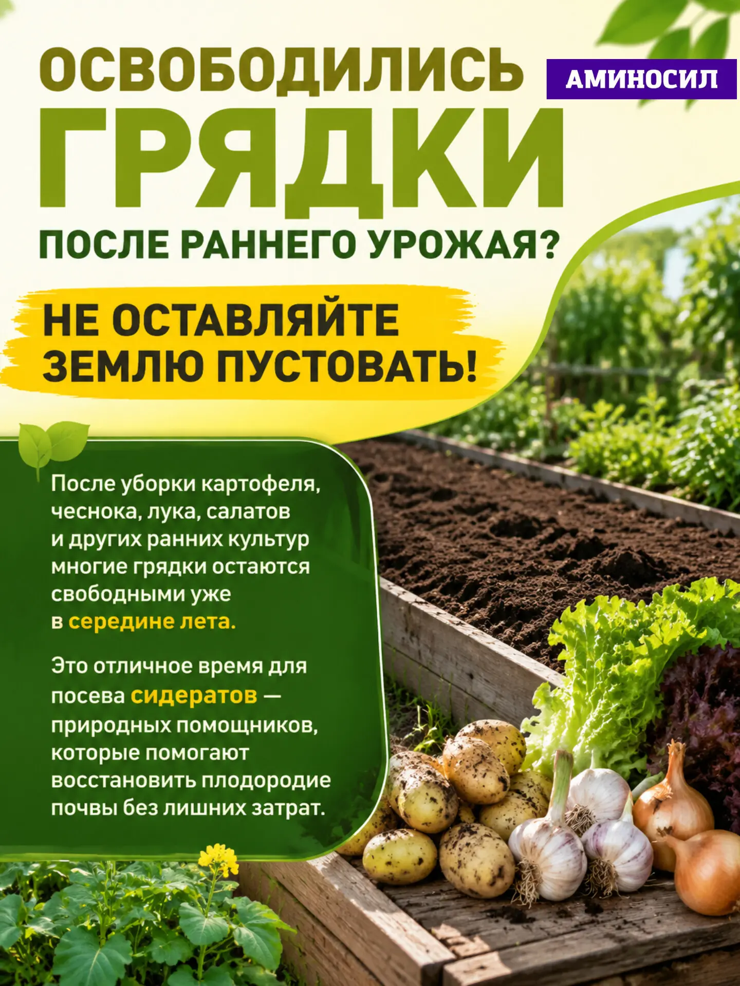 🌱 Освободились грядки после раннего урожая? Не оставляйте землю пустовать!
Подробности на фото ⬆️

