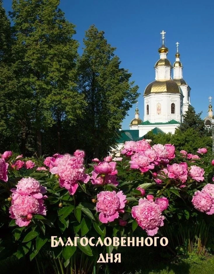 #БлагословенногоДня