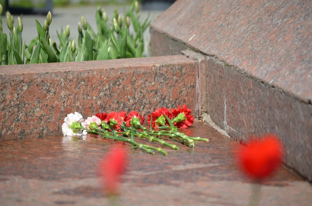 «КРАСНЫЕ ГВОЗДИКИ»🌺  Ученики нашей школы приняли участие в патриотической акции по возложению цветов