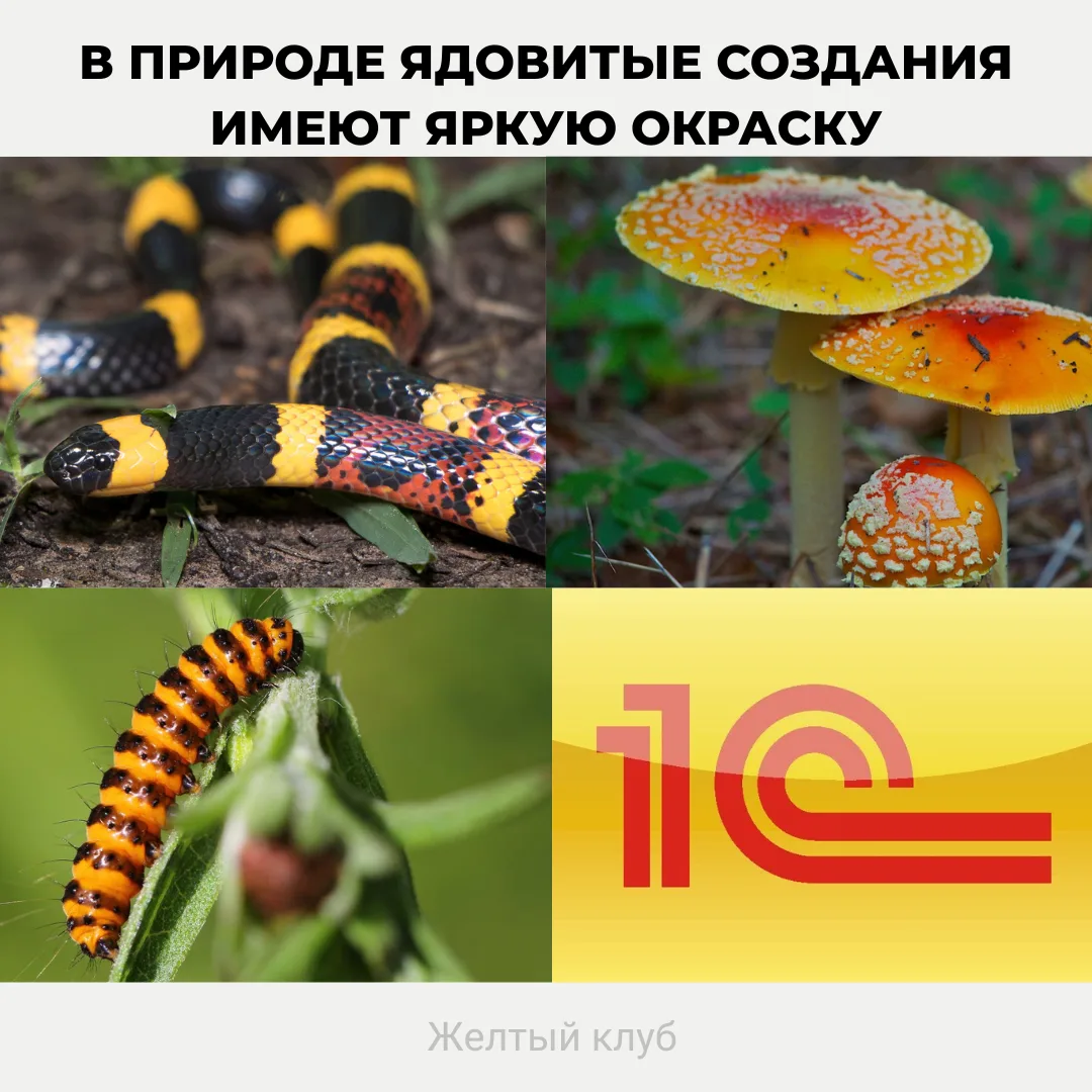 Пятничный мем

🟡 Подписывайся на сообщество 1С программистов