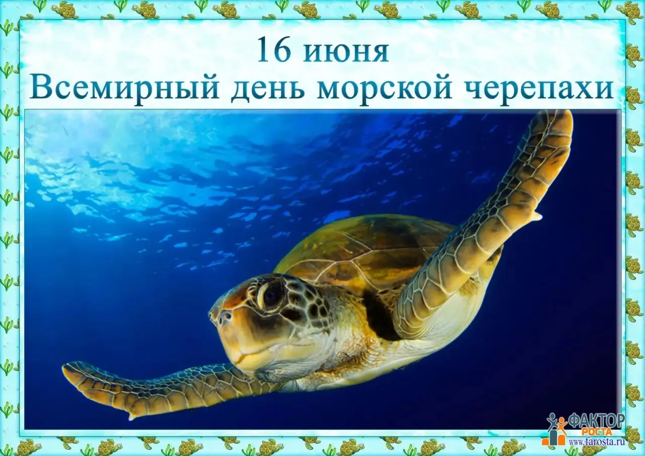 🐢 Всемирный день морской черепахи — 16 июня! 🐢
Сегодня — день удивительных созданий, которые живут