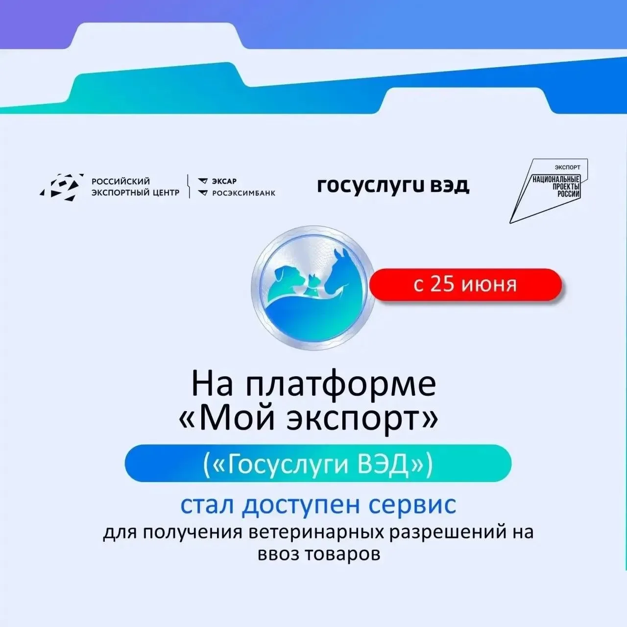 На платформе «Мой экспорт» запустился новый сервис для запроса ветеринарных разрешений
