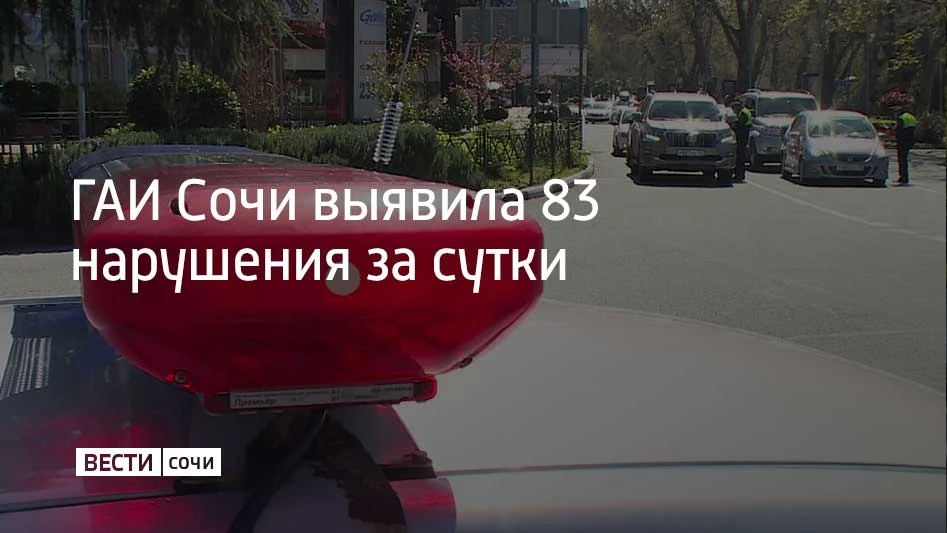 В Сочи состоялся очередной рейд "Правопорядок", во время которого инспекторы зафиксиров...