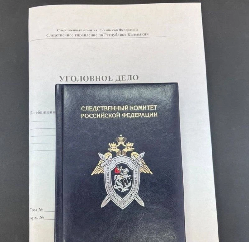 В Элисте перед судом предстанет генеральный директор строительной компании, обвиняемый ...