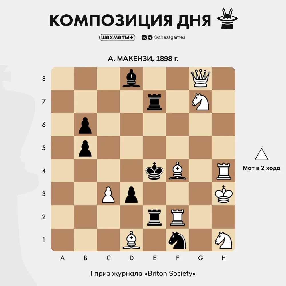 🎼 Композиция дня