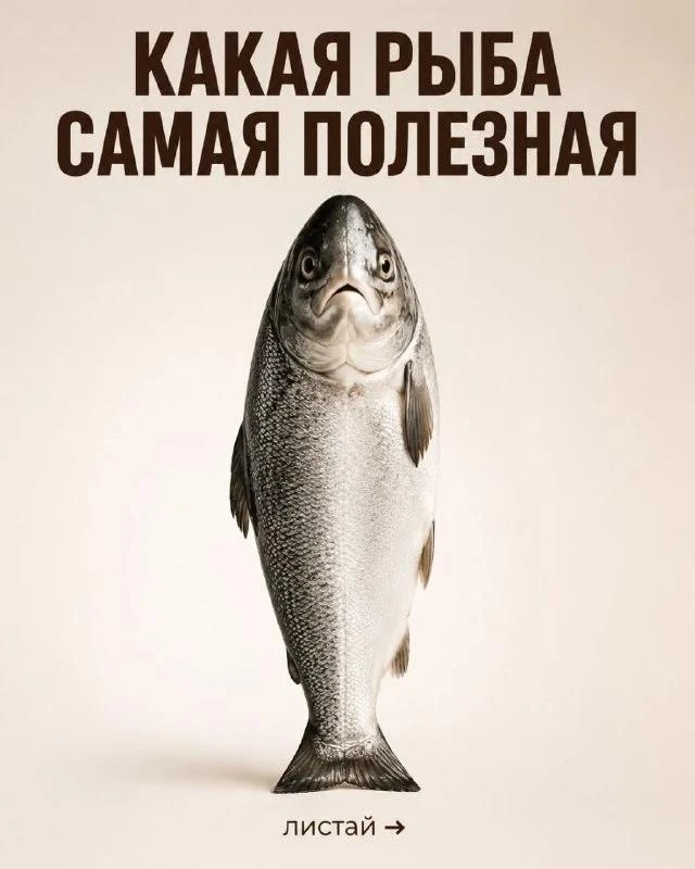 Не вся рыба одинаково полезна. Сохрани эту шпаргалку, чтобы выбирать лучшее для своего ...