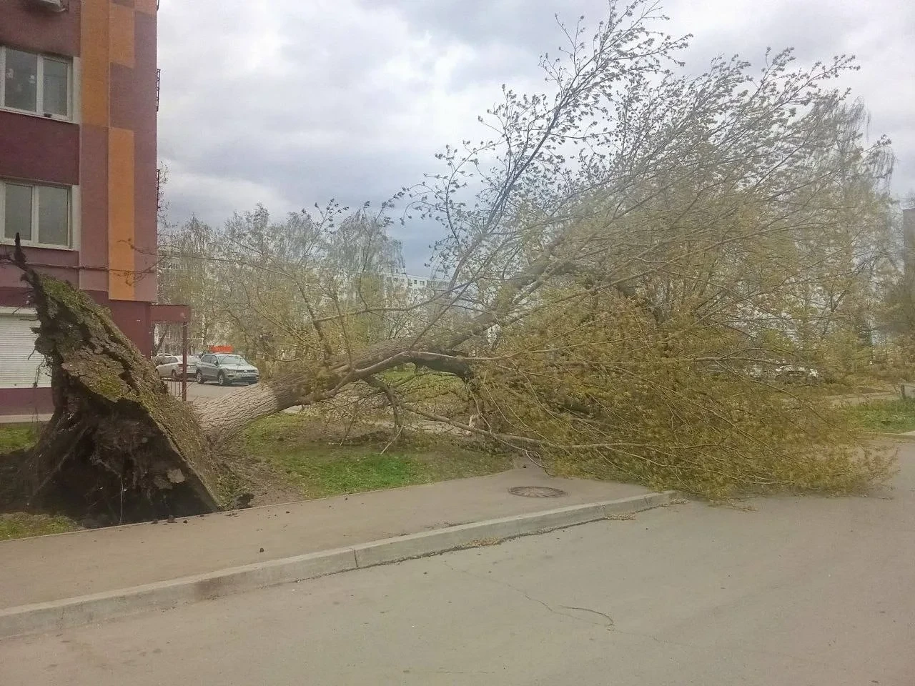 Упавшая из-за урагана остановка едва не убила мужчину во Владимирской области (1 видео). Из-за паден