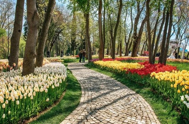 Фестиваль тюльпанов в СТАМБУЛЕ