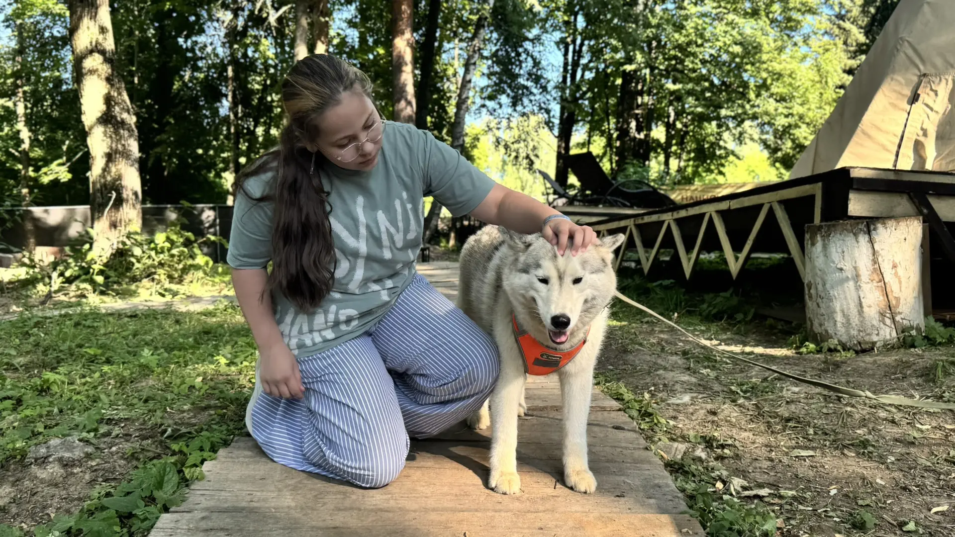 🐺💙Общение с хаски — это море положительных эмоций для детей и взрослых!