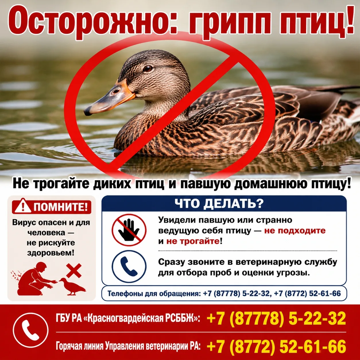 «СТОП ГРИПП»: в Красногвардейском районе стартует месячник биологической защиты птицево...