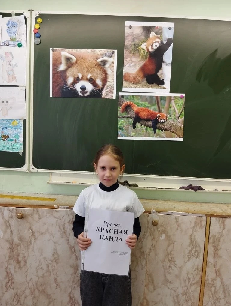 📚 Защита проектов во 2б классе по окружающему миру 🌍  Ученики 2б класса под руководством Белоущенко 