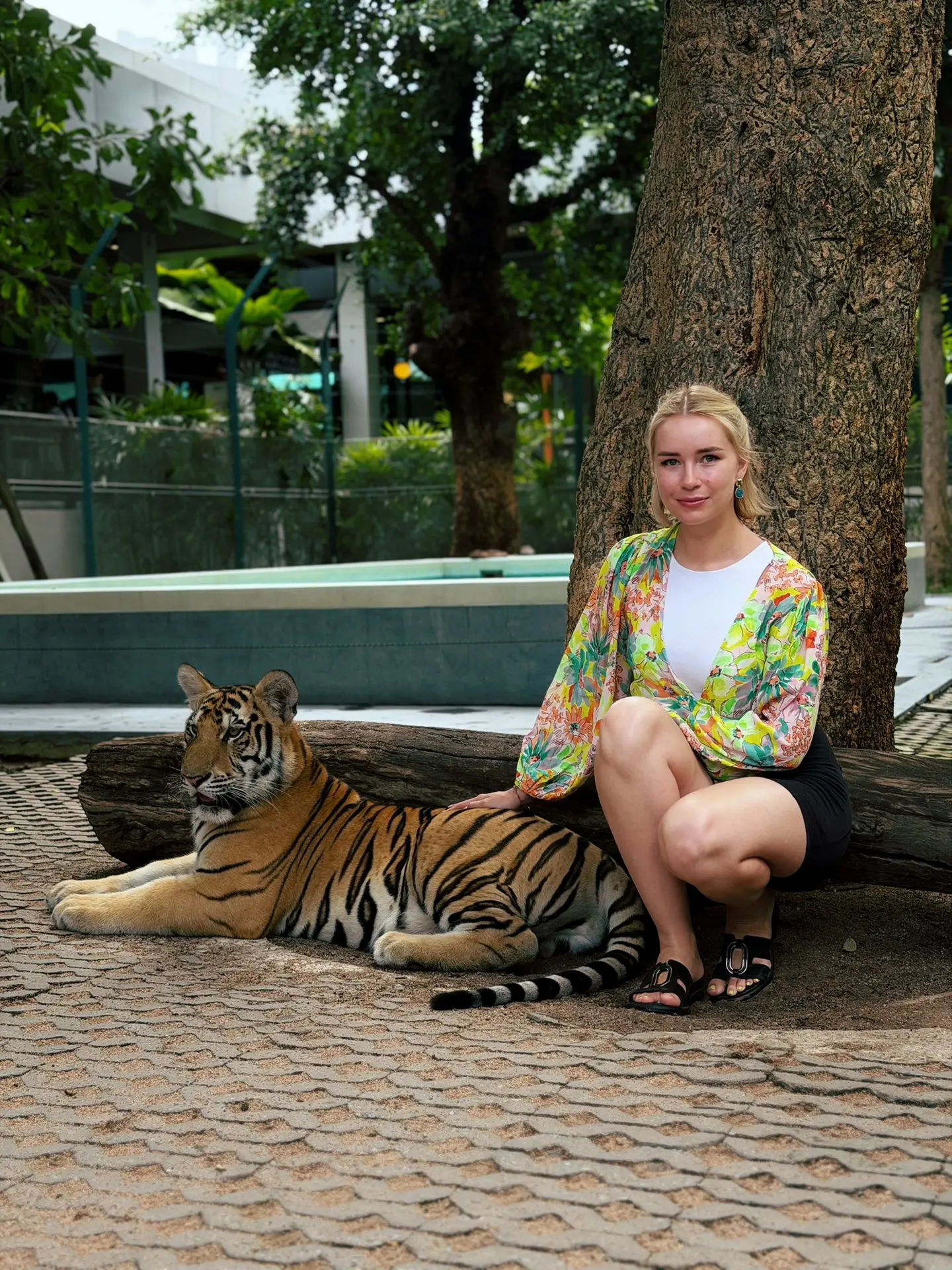 После экскурсии мы пару дней еще отдыхали в Паттайе, гуляли по набережным и сходили в Тигр Парк 🐅🌅