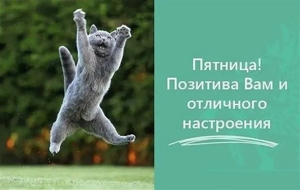 Пятница ☀️☀️☀️— это такой удивительный день, когда даже воздух пахнет свободой, а рабоч...