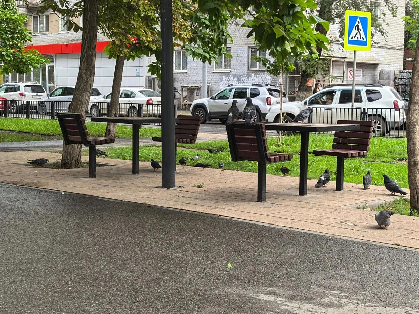 🌧 В Саратовской области возможен слабый дождь