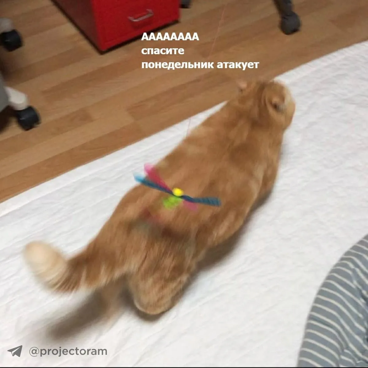 С понедельником, коллеги 🤝