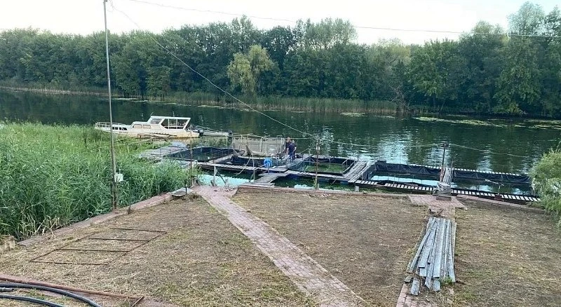 🚤 Водитель катера погиб после столкновения с опорой на Волге