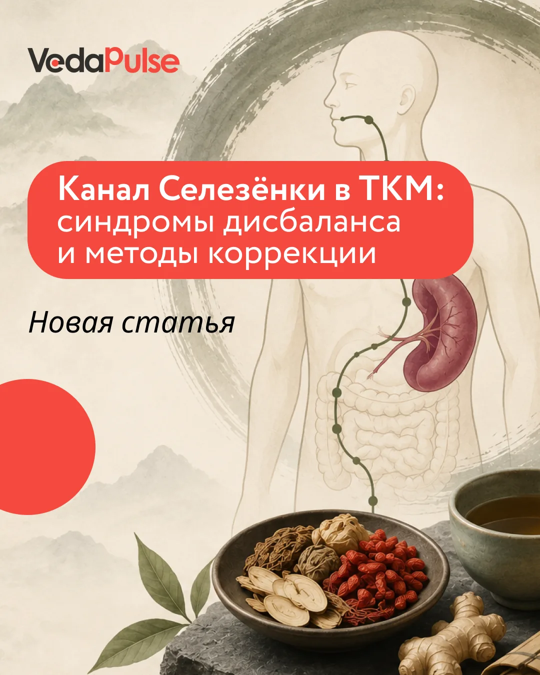 ❓ Что, если ваша усталость связана не просто со стрессом?