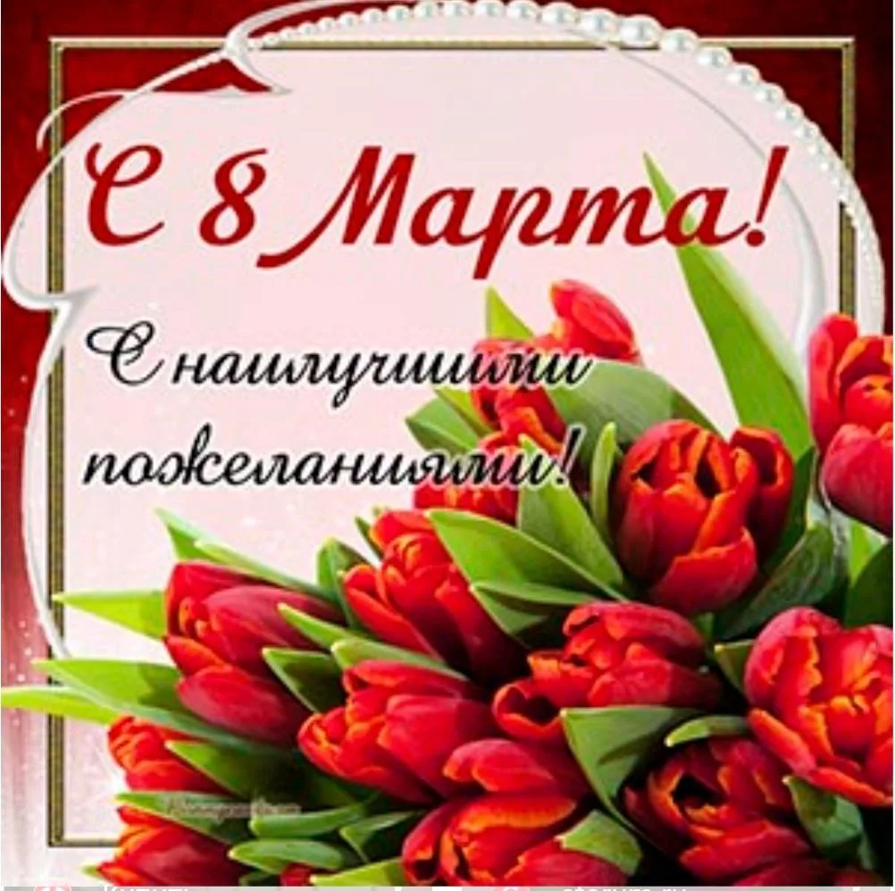 Дорогие женщины!