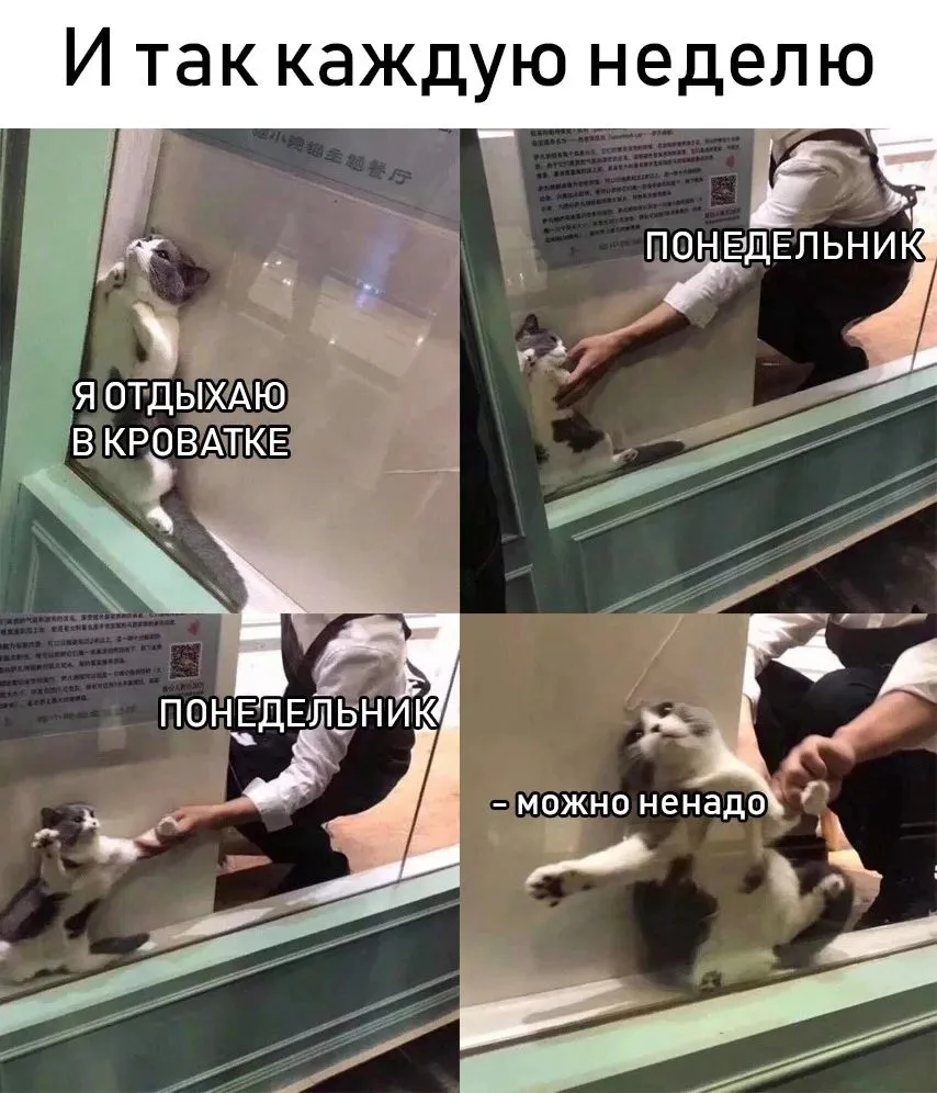 КОРОМЫСЛО