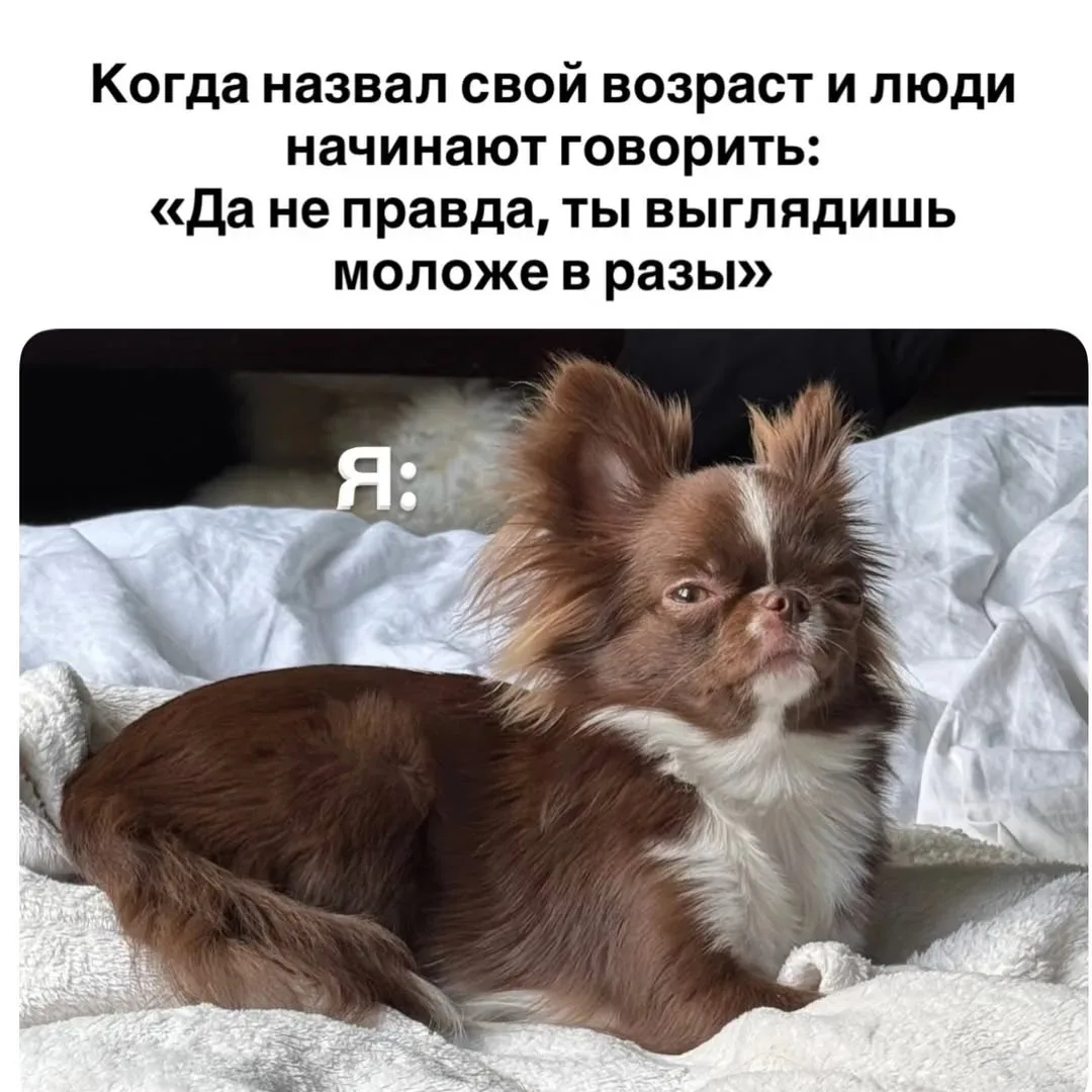 Всем, кто объявляет свой возраст и косит лиловым глазом, ожидая реакции, я, конечно, говорю: «Вы выг