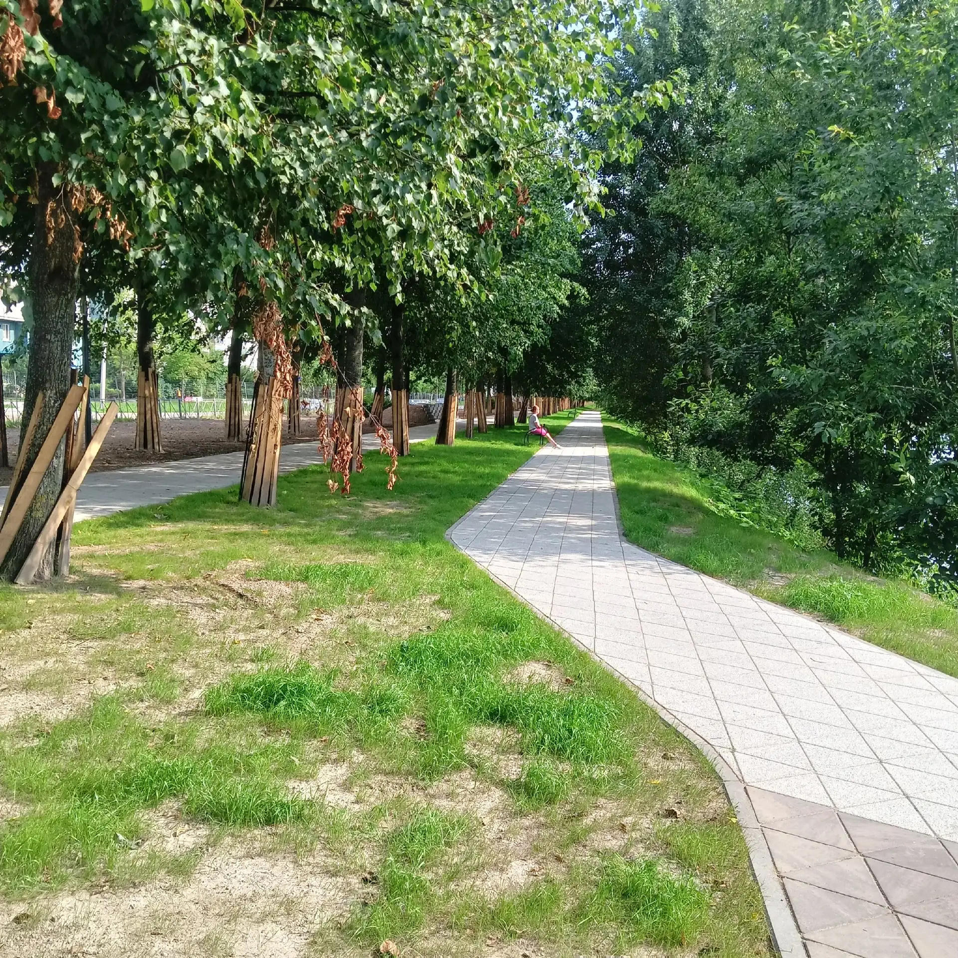 Благоустройство Аллеи Чернобыльцев в Приморском районе выходит на финишную прямую.
