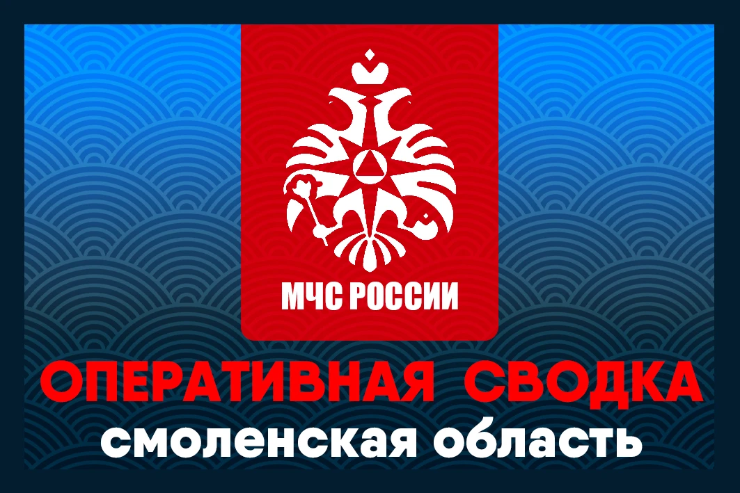 За сутки в Смоленской области

Пожарно-спасательные подразделения ликвидировали техногенные пожары:
