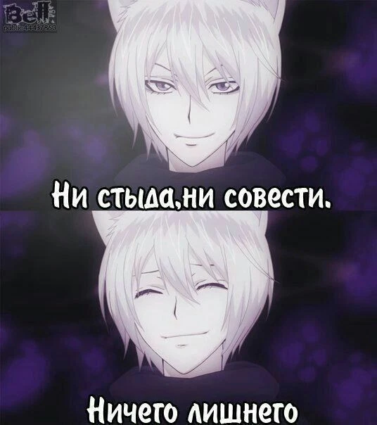 Все наши каналы