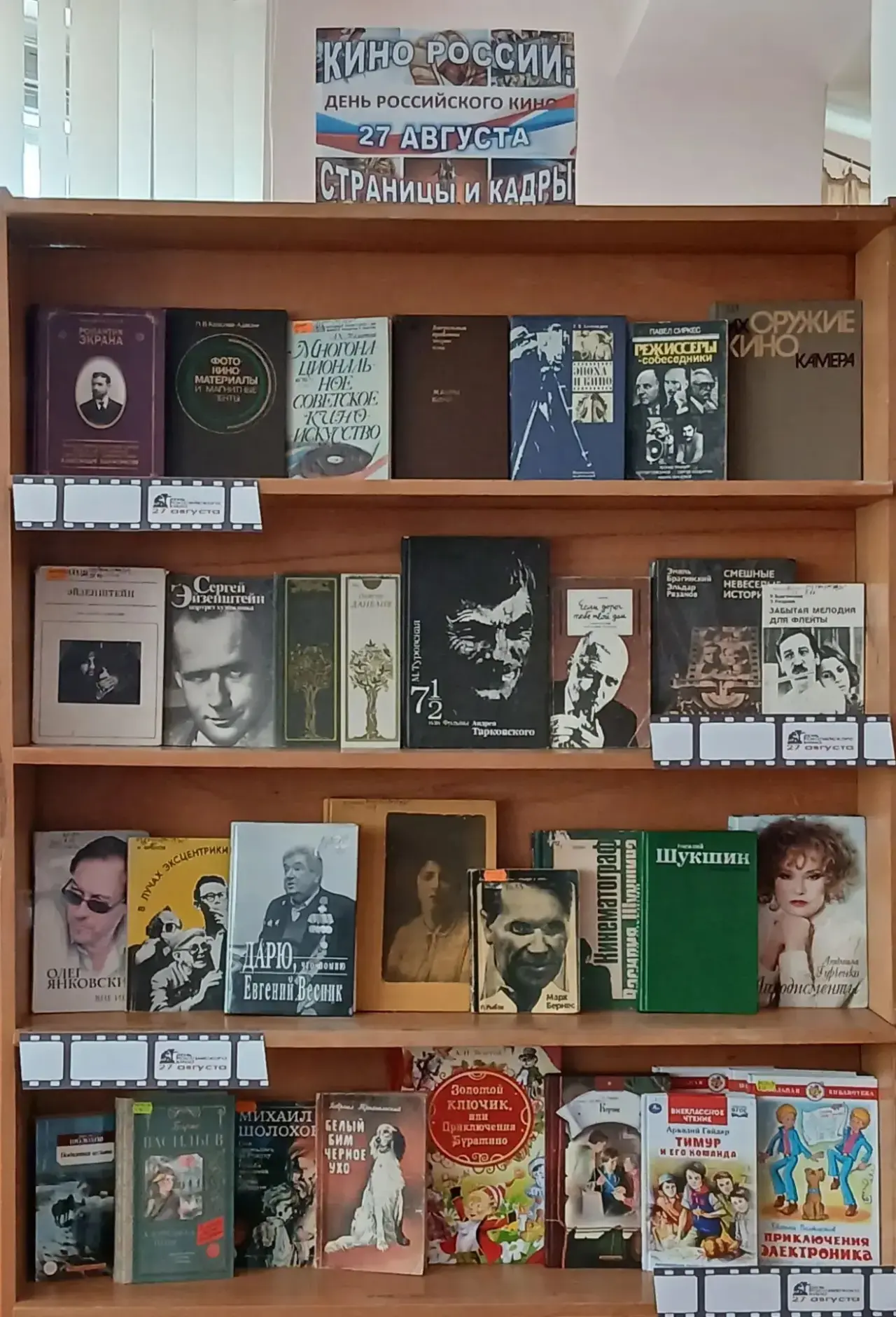 Свет, камера, книга! 🎬📚