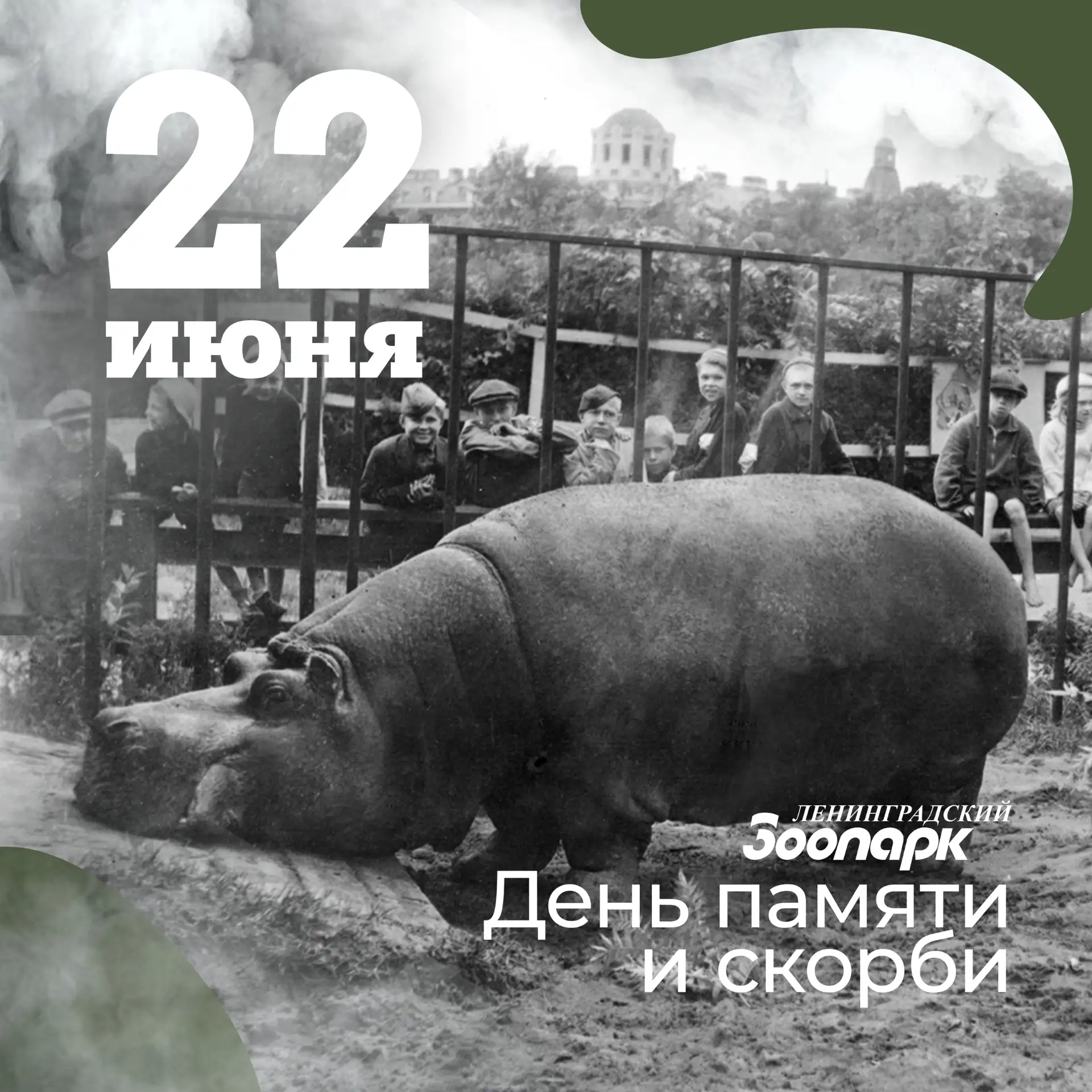 22 июня – День памяти и скорби🦛

85 лет назад, 22 июня, началась Великая Отечественная война, принё