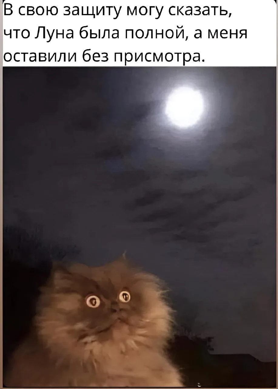 28 АВГУСТА. ПОЛНОЛУНИЕ, ЗАТМЕНИЕ И НЕМНОГО ЗДРАВОГО СМЫСЛА 🌕