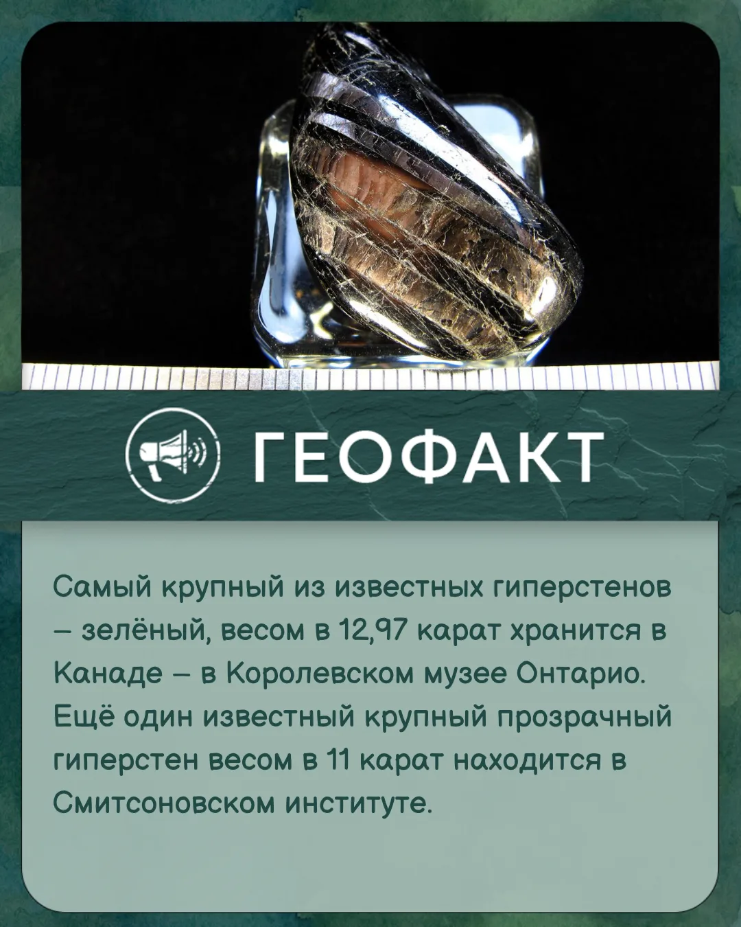 #геофакт
#Институт_Карпинского
#первые_в_геологии
#институт_независимых_умов