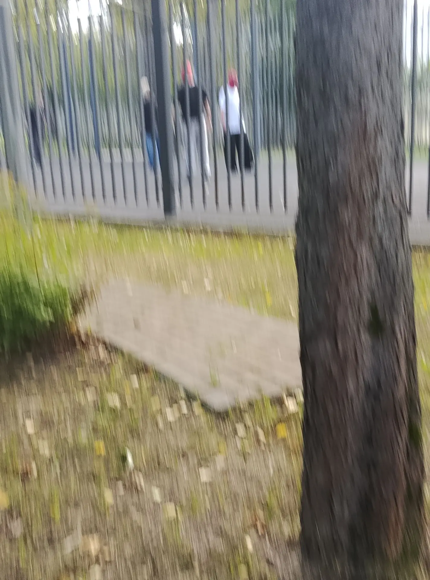 Предложка: