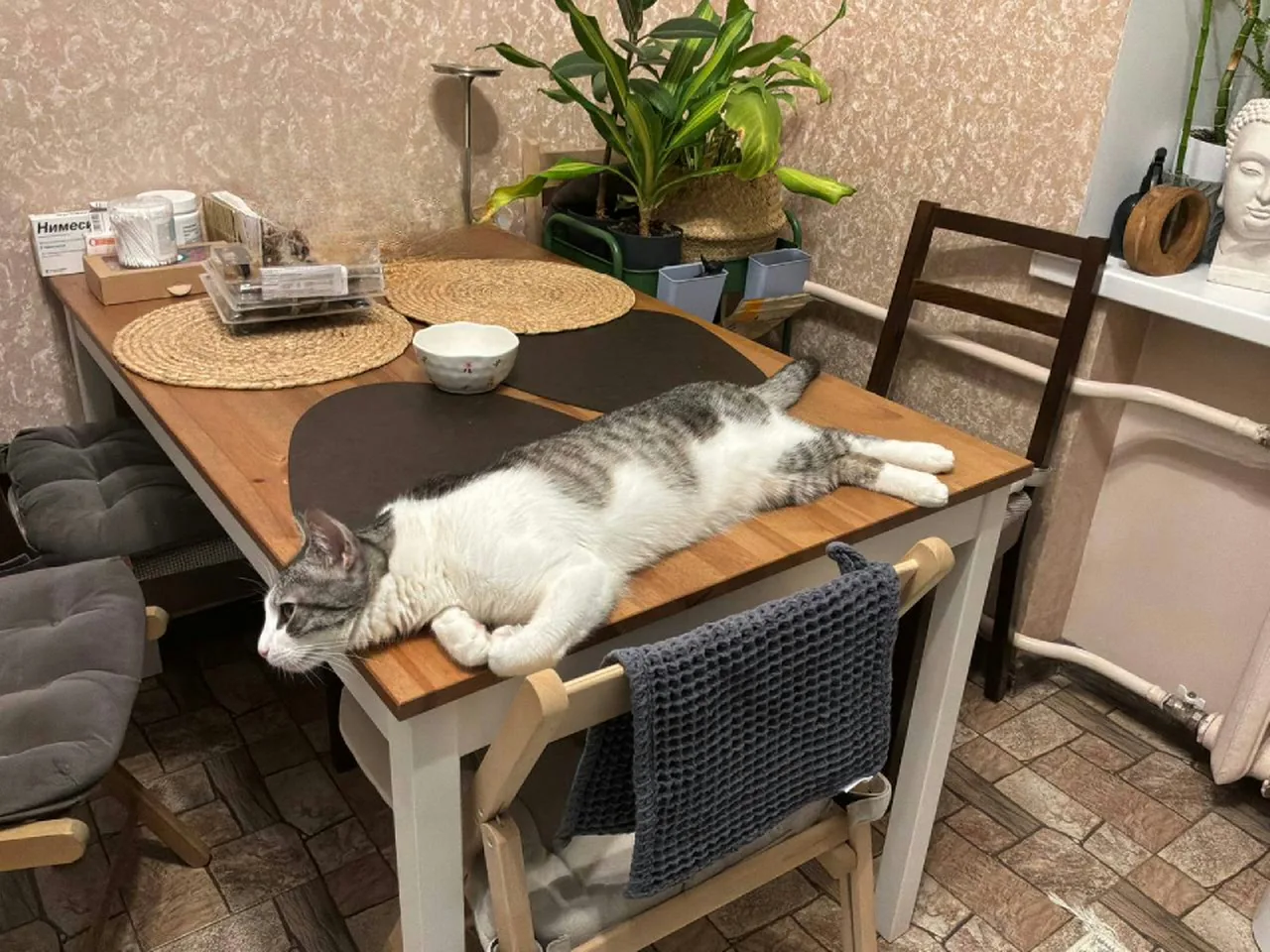 Макс (Мурзик Цискаридзе)