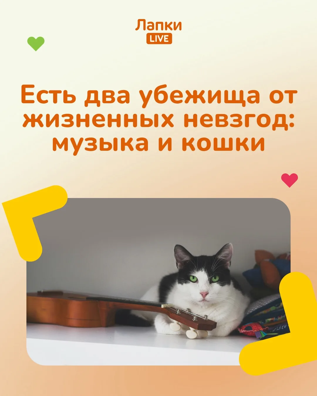 📌 Цитируем Альберта Швейцера — немецко-французского философа, музыковеда и врача.