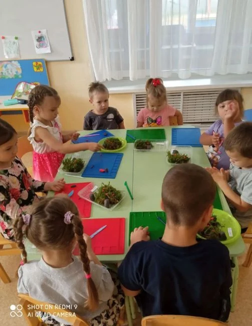 🌳 «У медведя во бору грибы, ягоды беру!» 🍄🍓