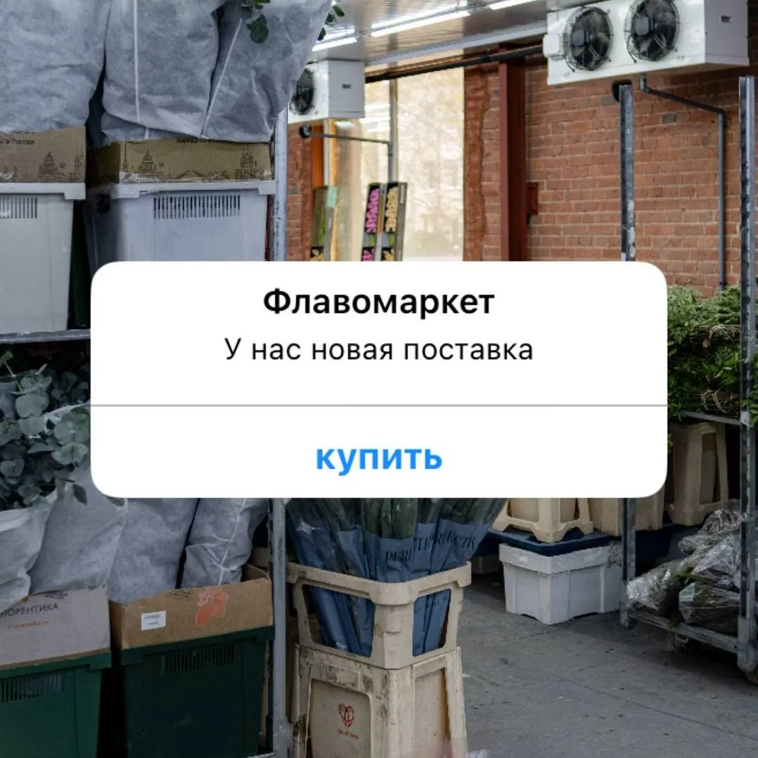 Свежая поставка уже на складе 🌻