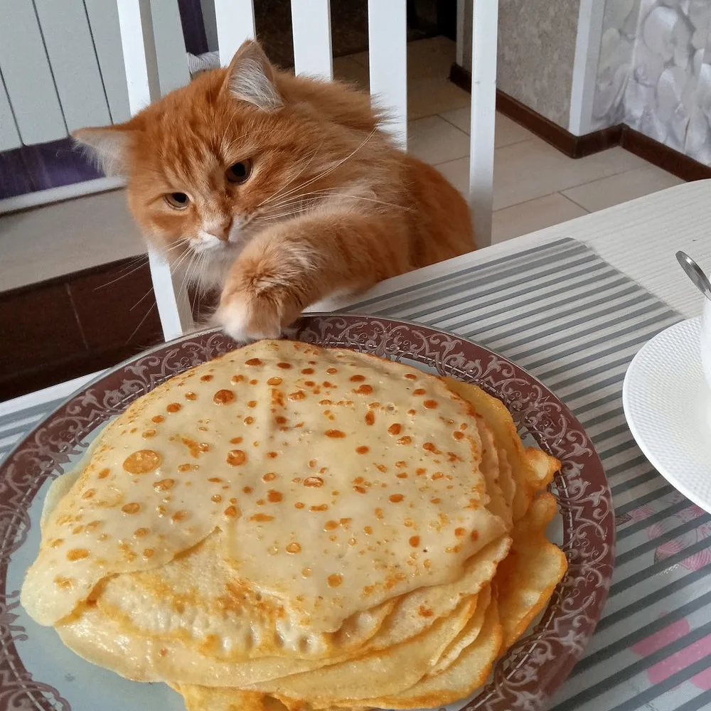 Изображение 3 к публикации «ХлебСоль — сеть продуктовых дискаунтеров»