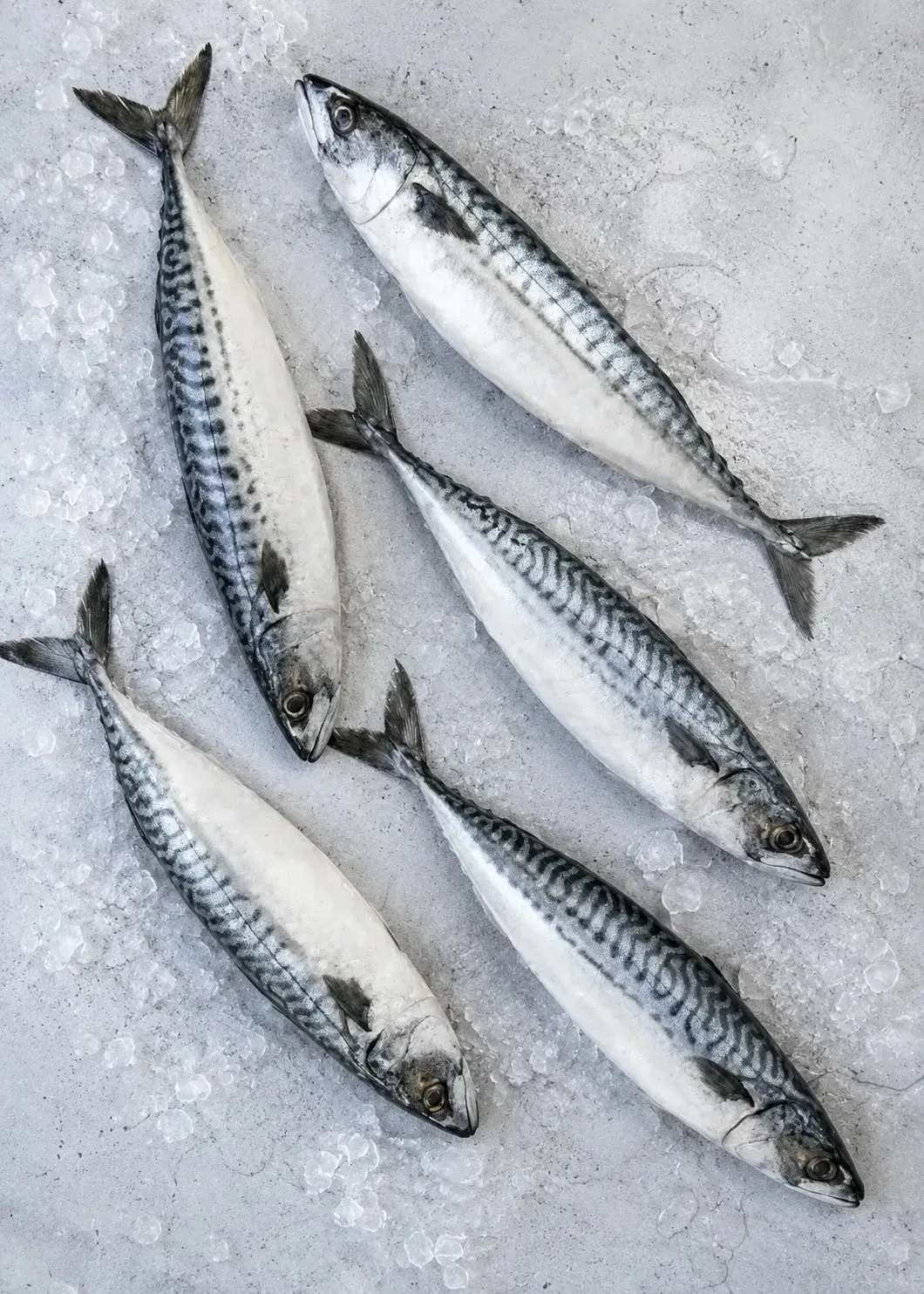 Свежий вылов любимой СКУМБРИИ Атлантической🐟🐟🐟

Месяц назад еще плавала в океане😁
Самая наисвежа