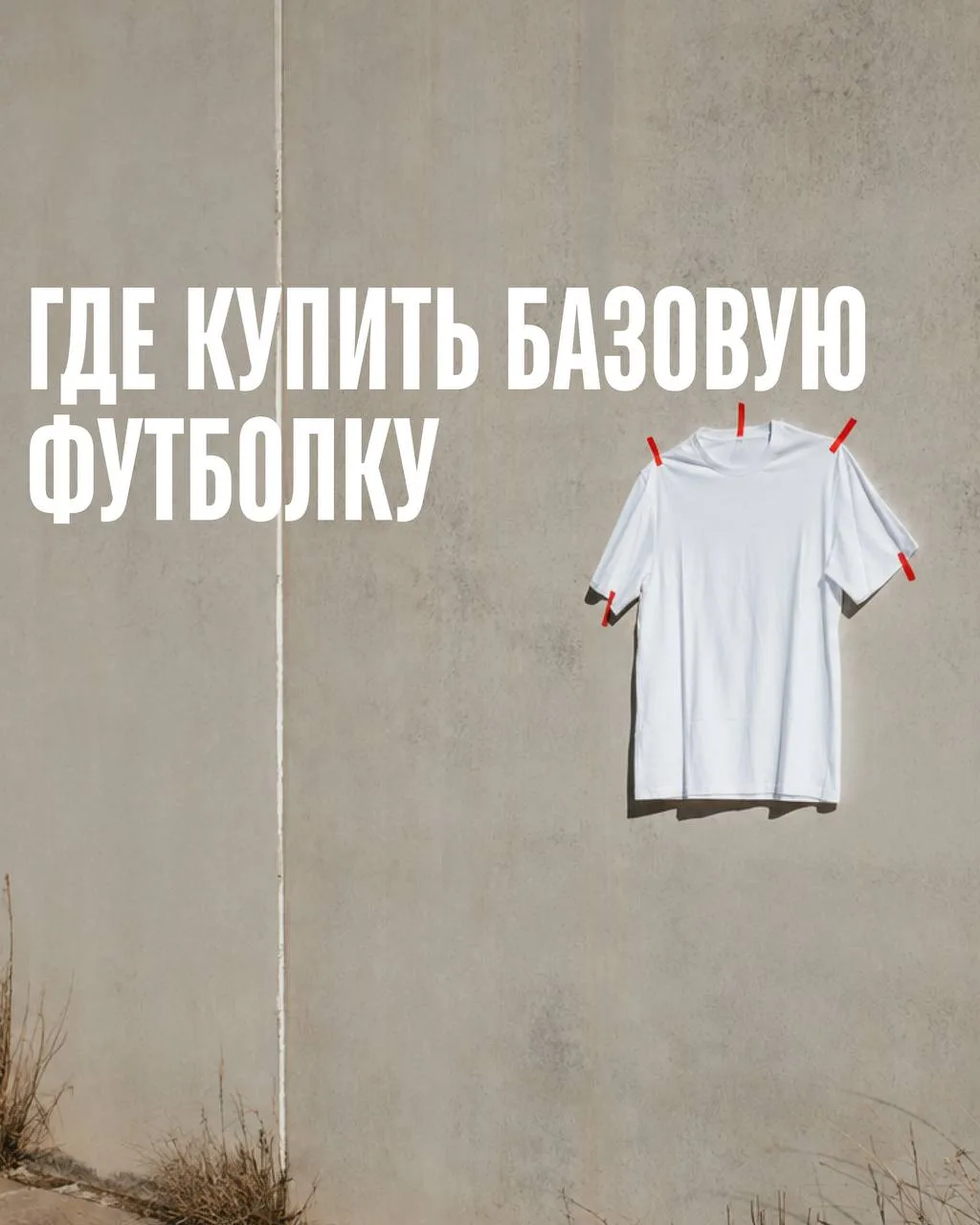 Говорим «база» — подразумеваем белую футболку. В теории все элементарно: хлопок, коротк...