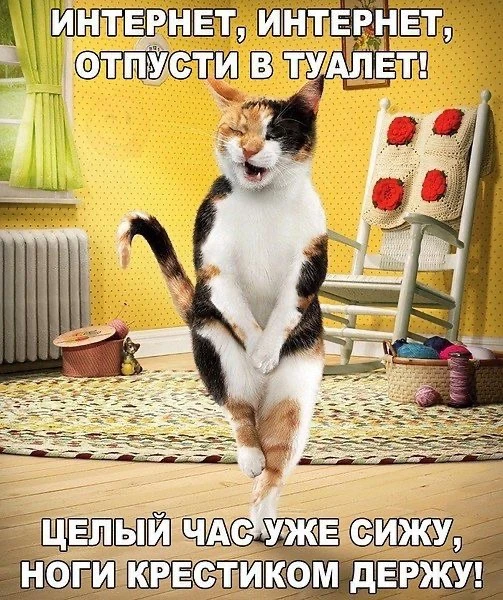 Юмор | Приколы | Мемы 👇🏻