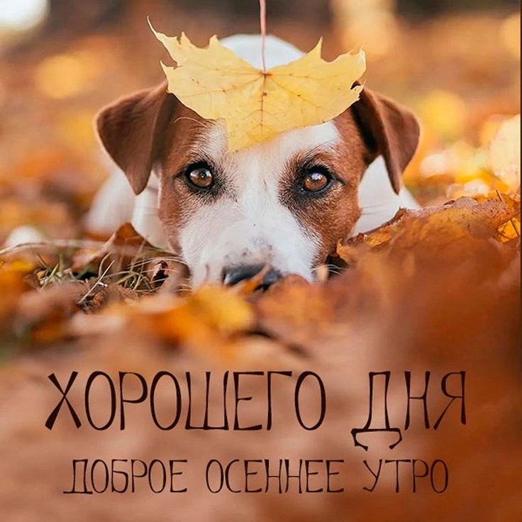 Доброе утро!