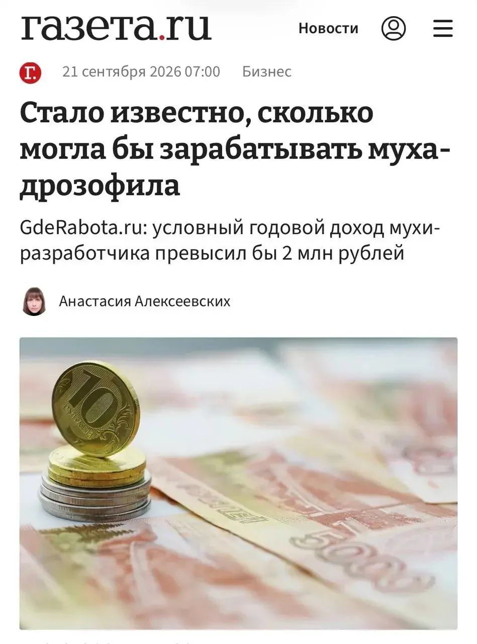 😁 Бояться надо было не ИИ