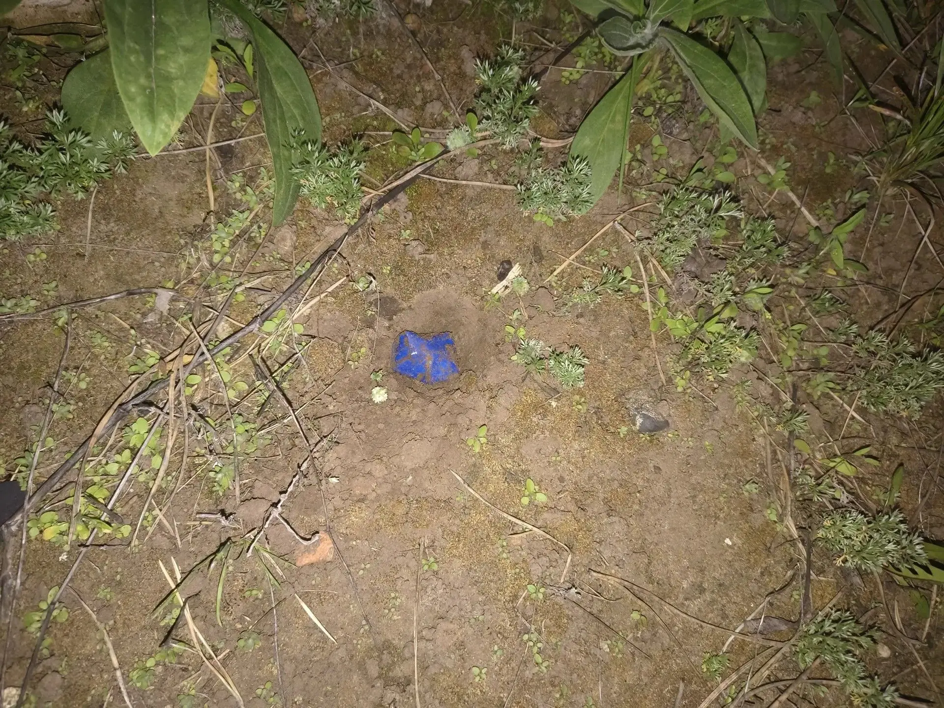 В Волгоградской области прокуратура направила в суд уголовное дело о покушении на незак...